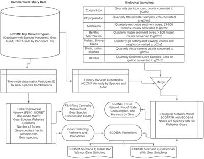 Linking Fishing Behavior and Ecosystem Dynamics Using Social and Ecological Network Models